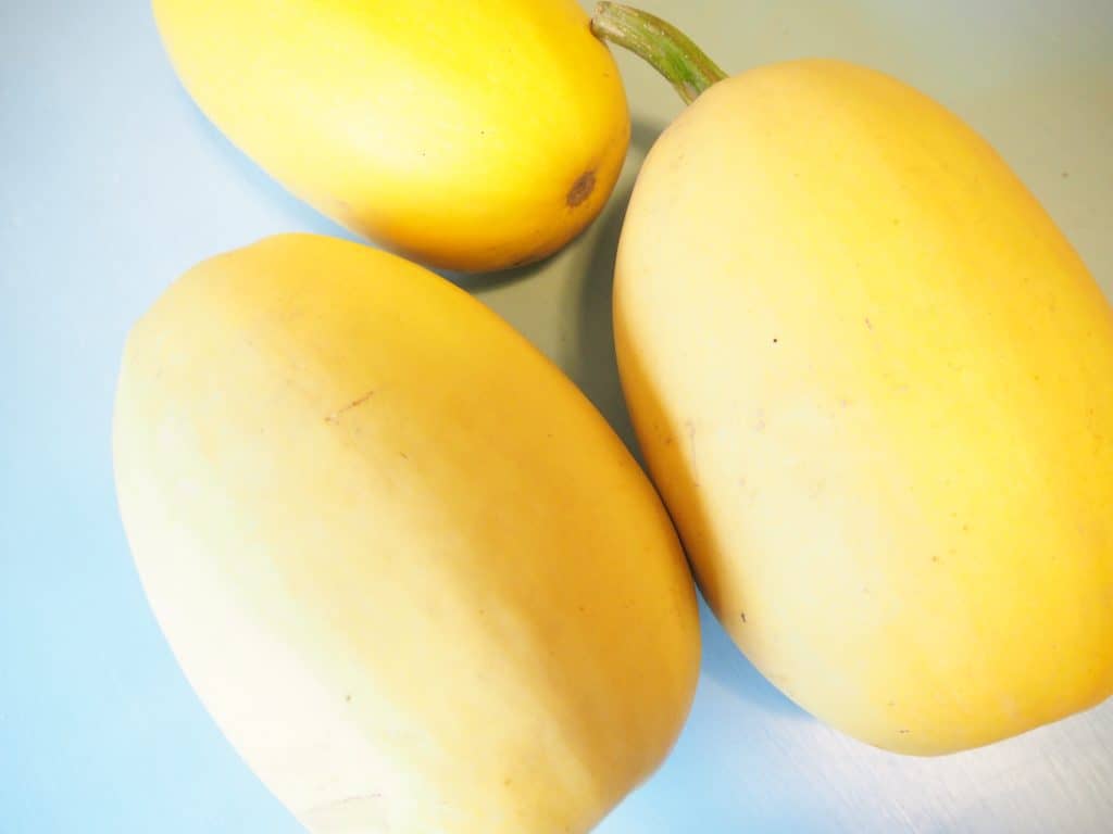 squash used for spaghetti squash casserole