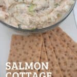 salmon dip in a bowl with crackers
