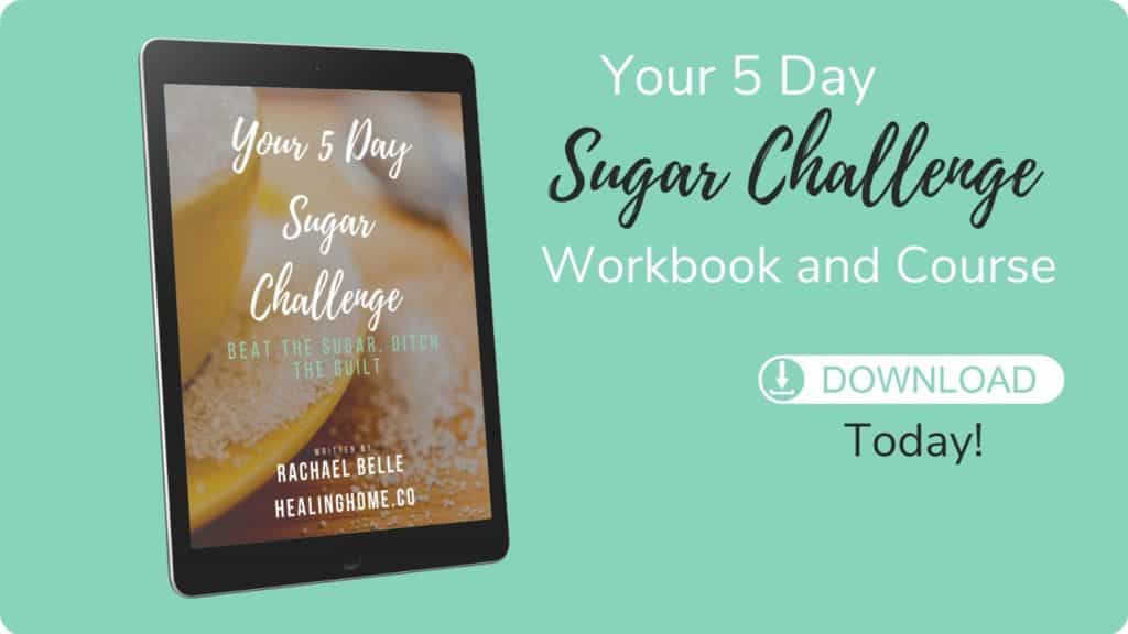 sugar free challenge workbook