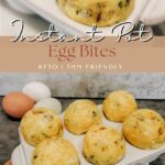 instant pot egg bites
