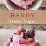 Berry frozen yogurt