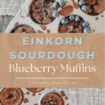 Einkorn Sourdough Blueberry muffins