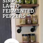 lacto fermented peppers