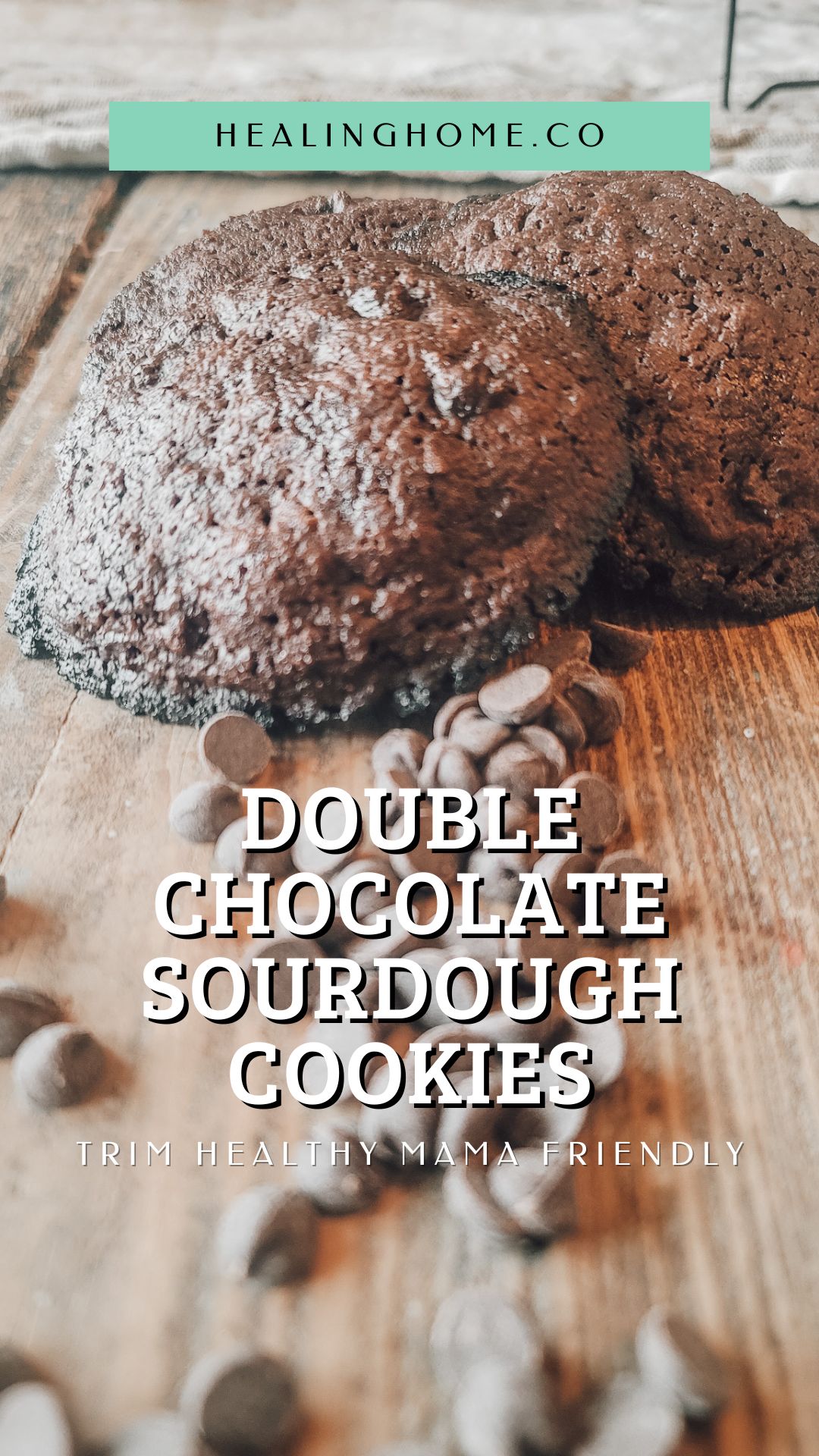 double chocolate sourdough cookies 