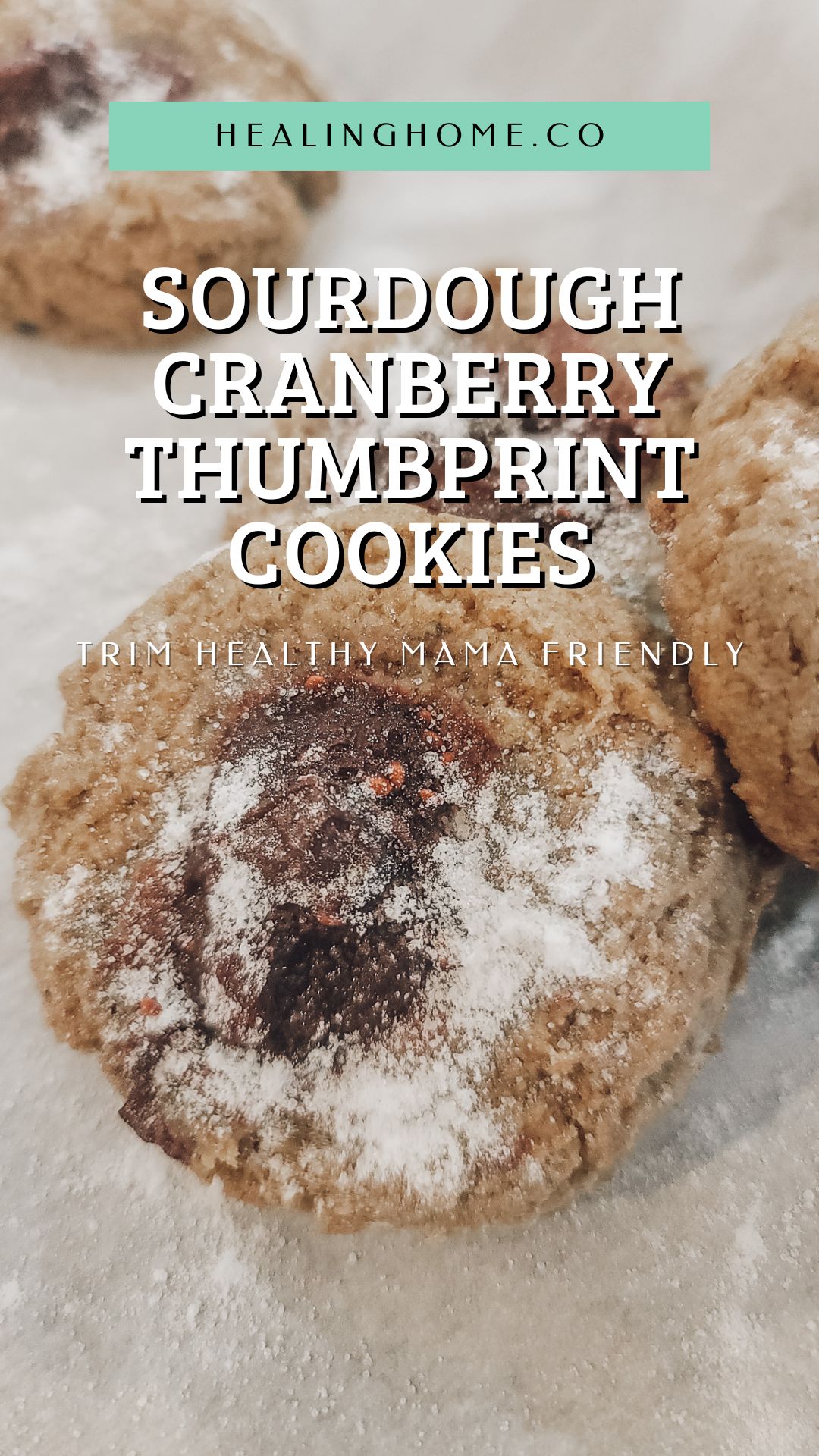 cranberry thumbprint cookies 