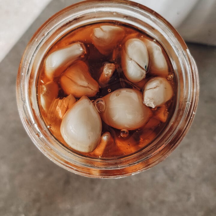 honey garlic ferment