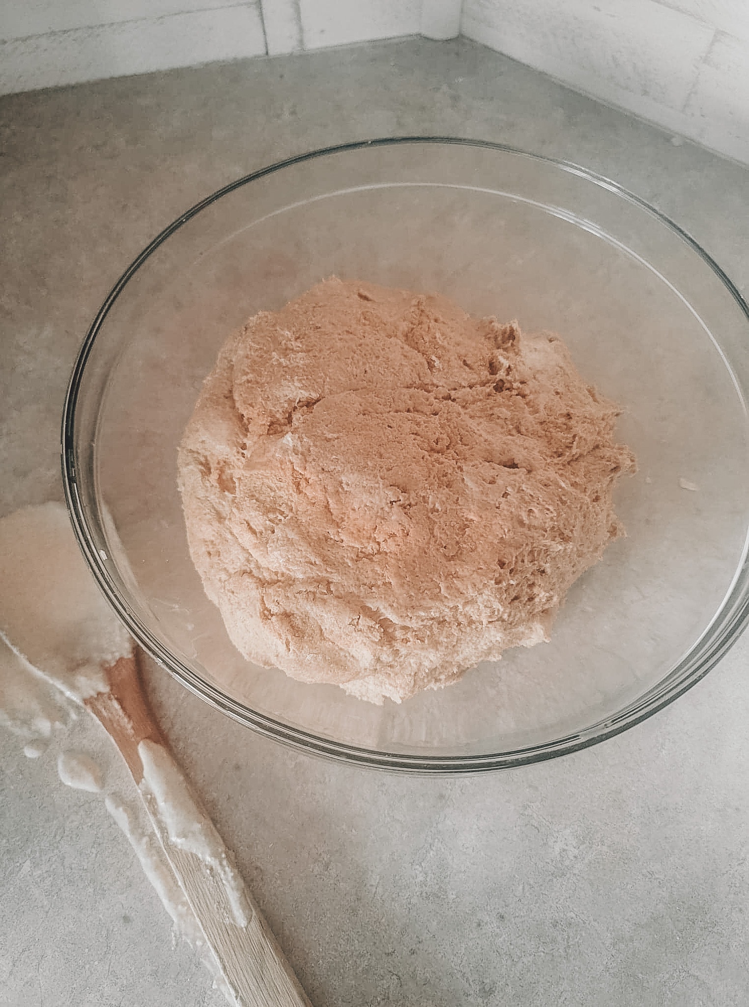 Place dough in bowl and cover. Allow it to rise for 12-24 hours. Do not overproof.