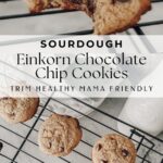 sourdough einkorn chocolate chip cookies