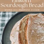 Einkorn sourdough bread