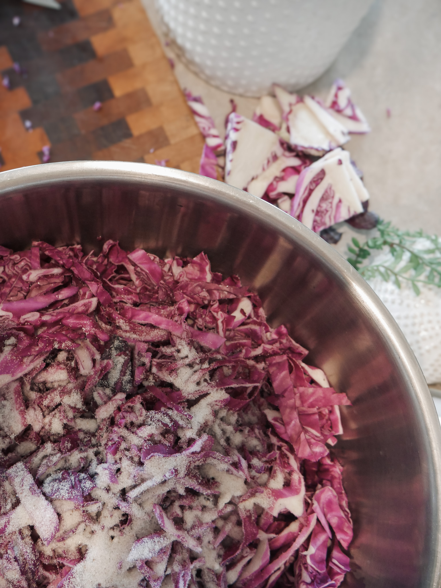 Classic Lacto-Fermented Sauerkraut - Place the shredded cabbage into a large bowl and sprinkle it evenly with the salt